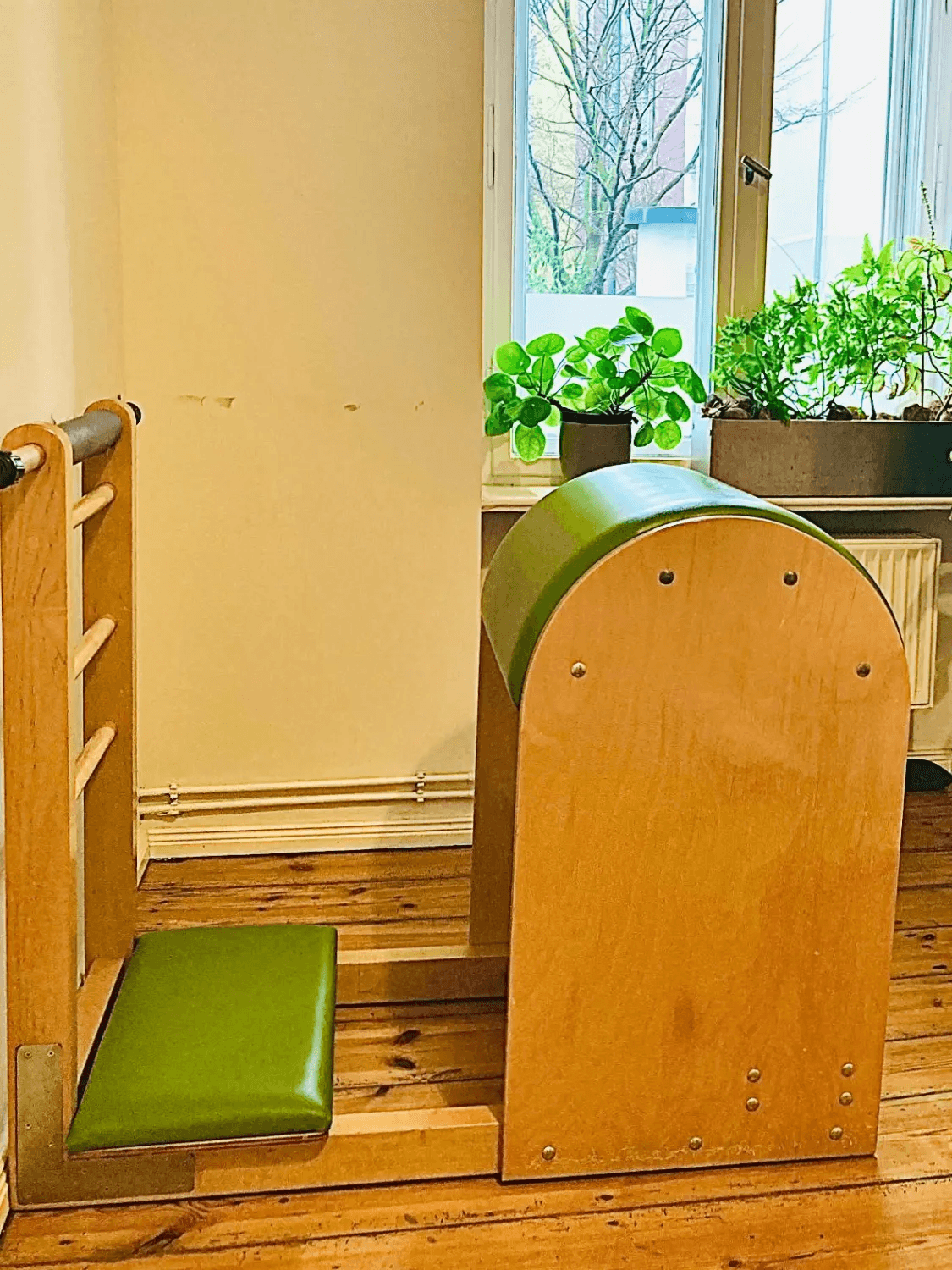 Ladder Barrel und Spine Corrector im Studio von ToBe Pilates
